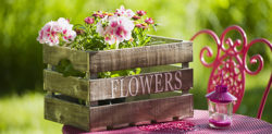 Holzkiste mit bunten Blumen
